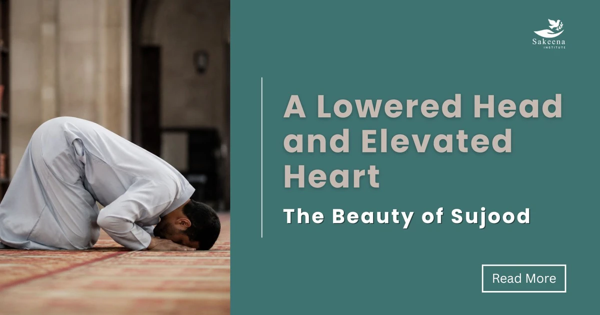 A Lowered Head and Elevated Heart: The Beauty of Sujood